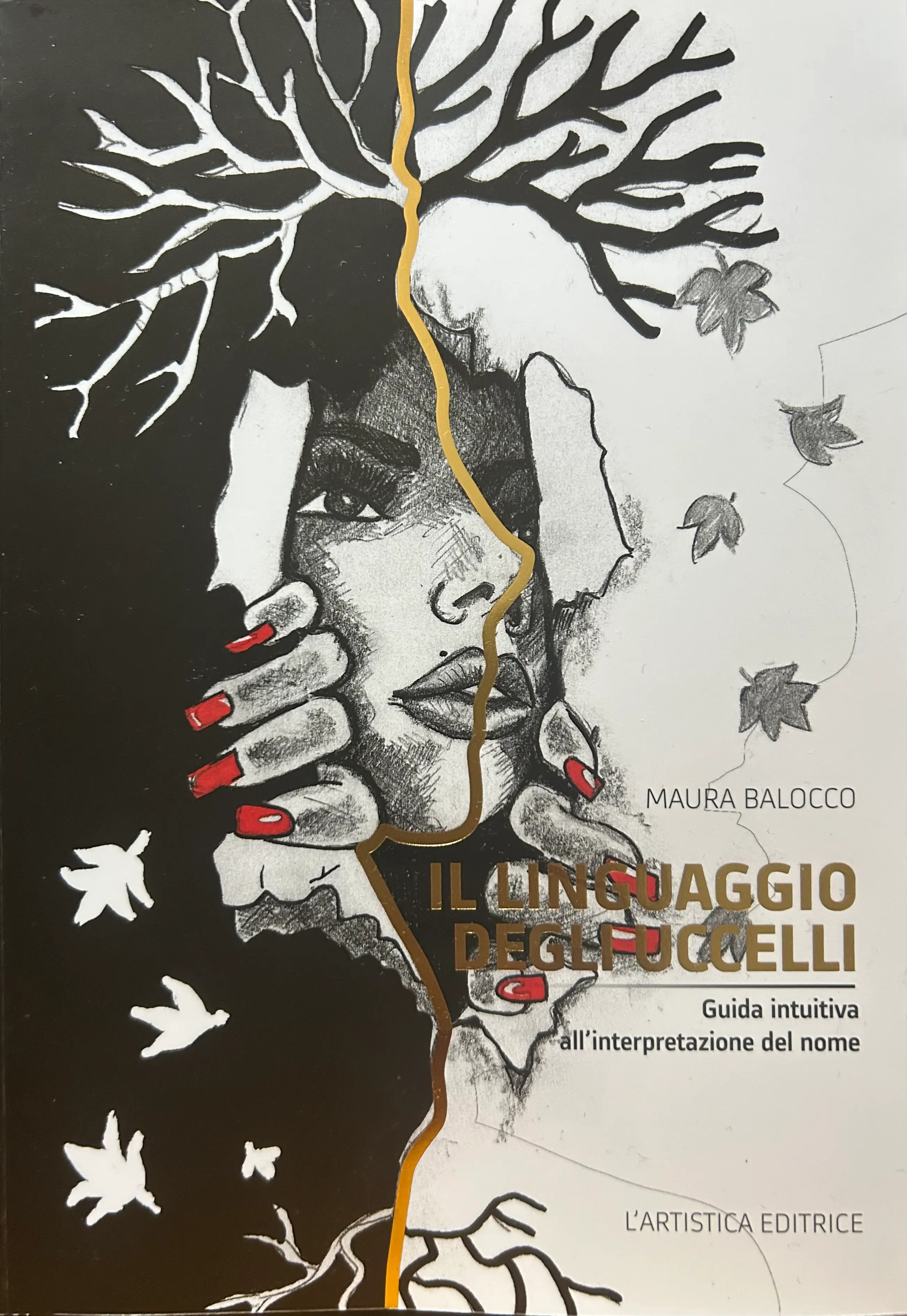 Libro 4