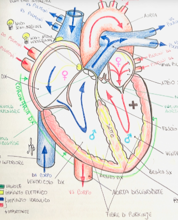 Psicosomatica